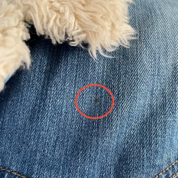 Earl Jean Denim‎ Women's Jacket Size Large Fits Like A Med - Picture 7 of 14